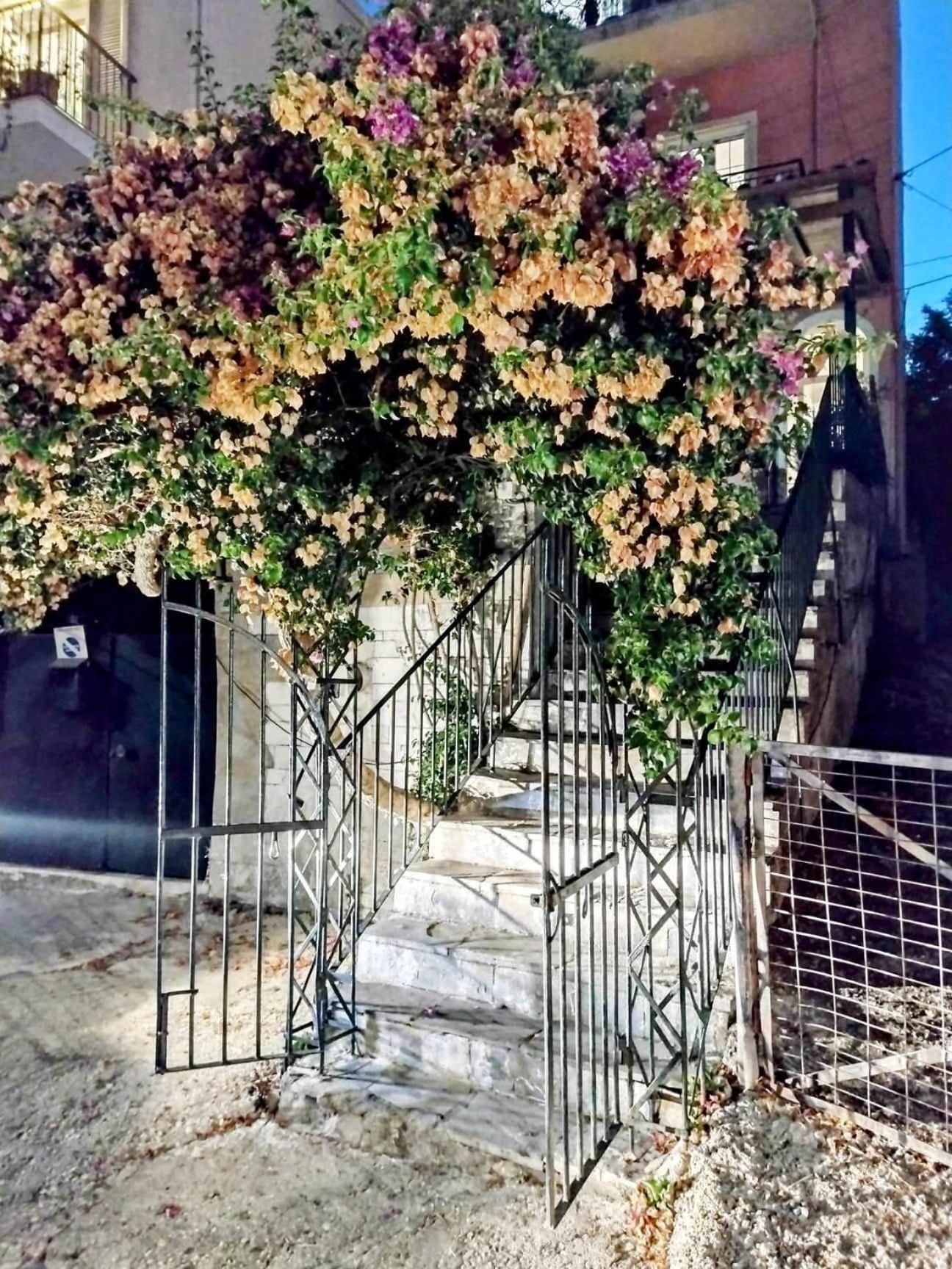Corfu Pelekas Apartment 2 Esterno foto